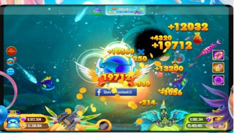 Tìm mục nhập code